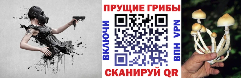 Псилоцибиновые грибы Cubensis даркнет какой сайт Мурино