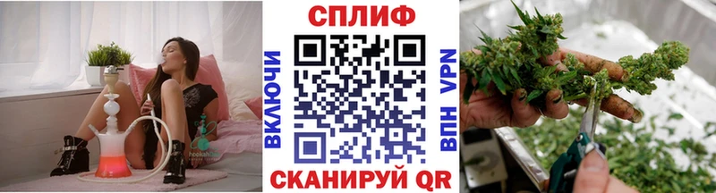Каннабис Ganja  где купить   Мурино 
